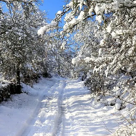 Vakantiehuis L'envolee