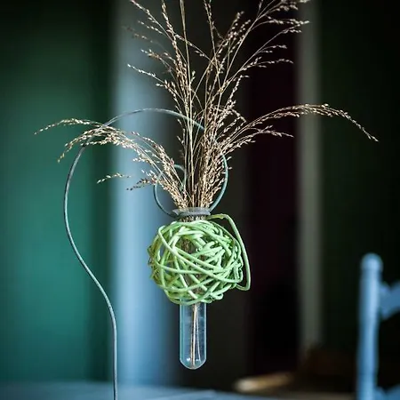 Vakantiehuis L'envolee Chiny