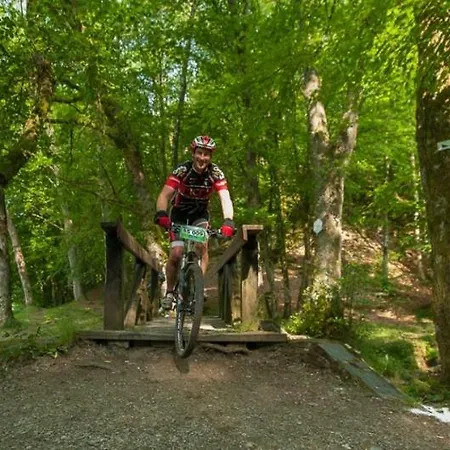 Vakantiehuis L'envolee